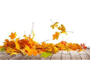 stapel van herfst gekleurde bladeren geïsoleerd Aan wit achtergrond.a hoop van verschillend esdoorn- droog blad. rood en kleurrijk gebladerte kleuren in de vallen seizoen foto