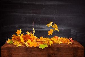 geel nat herfst bladeren Aan de achtergrond een donker oud hout foto