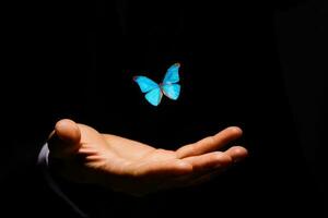 vlinders over- hand- over- donker achtergrond foto