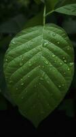 aarde dag en wereld milieu dag, lente, mooi natuurlijk vers groen blad, ontspanning natuur concept, genereren ai foto