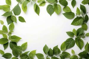 groen bladeren Aan wit achtergrond gezond levensstijl foto mooi behang natuur concept kunst ideeën , genereren ai