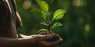 een kind Holding een fabriek in hun handen met een groen achtergrond en zonlicht schijnend door de bladeren Aan de plant, genereren ai foto