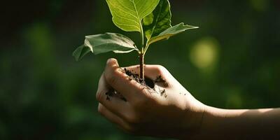 een kind Holding een fabriek in hun handen met een groen achtergrond en zonlicht schijnend door de bladeren Aan de plant, genereren ai foto