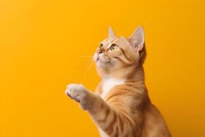 grappig gember kat met haar voorkant poot verheven Aan oranje achtergrond, kopiëren ruimte. ai gegenereerd. foto