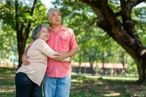 portret van lief ouderen paar knuffelen elk andere met liefde en geluk in een park buitenshuis. gelukkig glimlachen ouderen paar genieten van met positief emoties Bij tuin foto