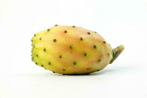 geel oranje cactus fruit stekelig Peer netelig sappig foto