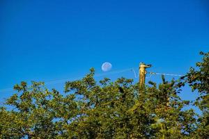 maan op blauwe hemel foto