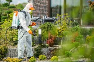 tuin in bescherming pak sproeien tuin planten met actief Chemicaliën foto