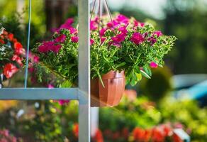 hangende bloem pot voor uitverkoop. foto