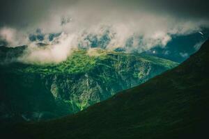 Noors fjord landschap foto