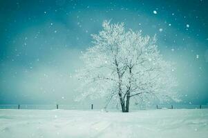 schilderachtige winterlandschap foto