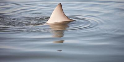 haai en vissen in de oceaan ai gegenereerd foto