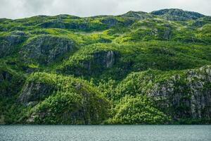 Noorwegen fjorden landschap foto