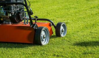 tuinman, struik trimmer,tuin,arbeider,werk,baan,arbeid,trimmen,vormgeven,knippen,snijden,gras scharen,snoerloos,apparatuur,scharen,elektrisch,professioneel,industrie,tuinarchitect,landschapsarchitectuur,achtertuin tuin,gazon,boom,decoratief,natuur,natuurlijk,vormsnoei foto