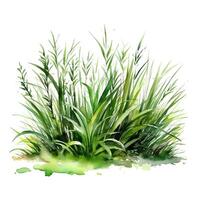 waterverf groen gras. illustratie ai generatief foto