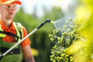 seizoensgebonden planten insecticide foto