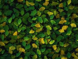 ginkgo biloba bladeren donker achtergrond gemaakt met generatief ai technologie foto