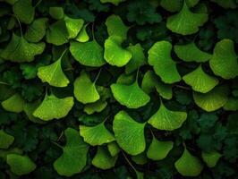 ginkgo biloba bladeren donker achtergrond gemaakt met generatief ai technologie foto