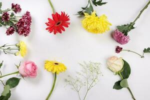 madeliefje chrysant mamma roos baby adem bloem rood geel roze Purper paars Aan wit achtergrond grens kader boeket kopiëren tekst ruimte foto