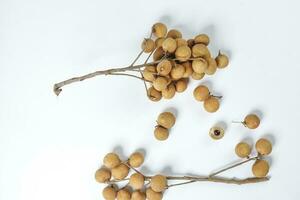 dimocarpus longan fruit Aan wit achtergrond foto