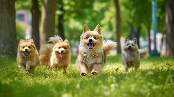 schattig grappig honden groep rennen en spelen Aan groen gras in park, generatief ai foto