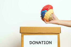 orgaan bijdrage, liefdadigheid, vrijwilliger, geven concept. hand- Holding menselijk hersenen in schenken doos voor ondersteuning wereld hersenen tumor dag, hersenen hartinfarct, Dementie, alzheimer, Parkinson en wereld mentaal Gezondheid foto