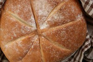 vers gebakken ronde brood brood verpakt in geruit keuken kleding stof servet handdoek over- zwart achtergrond foto