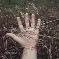 hand aanraken van de planten foto