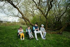 vier kinderen zittend Aan stoelen Bij voorjaar Woud. foto