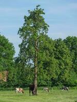 de Duitse münsterland Bij zomer tijd foto