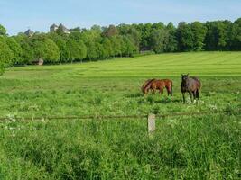 voorjaar tijd in Westfalen foto