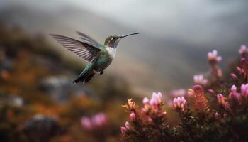 kolibrie zweeft, bestuift, verspreidt Vleugels in midden lucht gegenereerd door ai foto