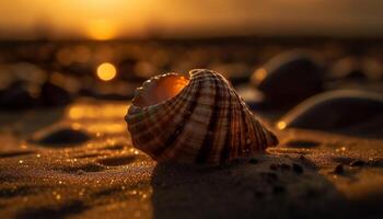 idyllisch zeeschelp decoratie, rustig zeegezicht, multi gekleurde zonsondergang schoonheid in natuur gegenereerd door ai foto