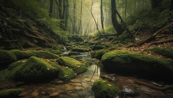 rustig tafereel van een tropisch regenwoud avontuur generatief ai foto