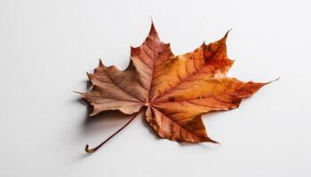 levendig esdoorn- blad, goud en oranje kleuren generatief ai foto