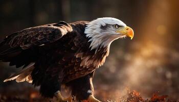 majestueus vogel van prooi, kaal adelaar, neerstrijken in natuurlijk schoonheid gegenereerd door ai foto