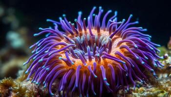 multi gekleurde koraal en tentakels creëren abstract onderwater- natuurlijk schoonheid gegenereerd door ai foto