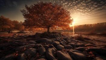 levendig herfst landschap zonovergoten Woud, geel bladeren, rustig weide, blauw lucht gegenereerd door ai foto