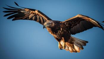 verspreiding Vleugels, majestueus vogel van prooi in midden lucht beweging gegenereerd door ai foto