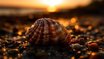 glimmend schelp schelp Aan blauw wateren kant, natuur decoratie gegenereerd door ai foto