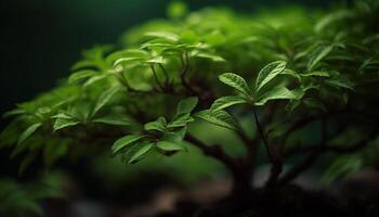 vers groen bladeren toenemen Aan een rustig regenwoud varen Afdeling gegenereerd door ai foto