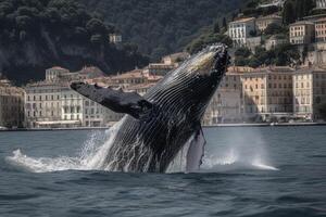 gebochelde walvis overtreden uit van Genua kust illustratie generatief ai foto