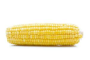 rauw maïs Aan een wit achtergrond foto