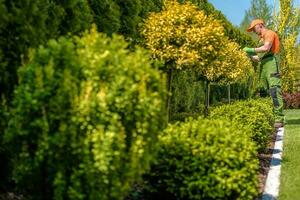 tuinman snoeien van planten foto