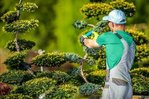 tuinman planten onderhoud foto