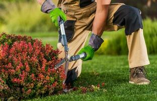 pro tuinman trimmen planten takken foto