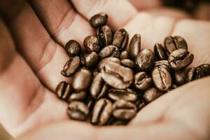 koffie bonen in een hand- foto