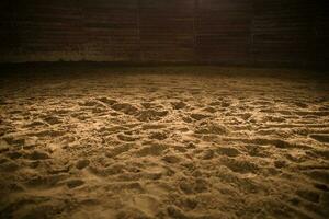 zanderig paard rijden arena foto