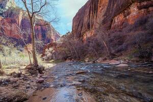 Zion park maagd rivier- foto