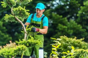 zomer tuin werken foto